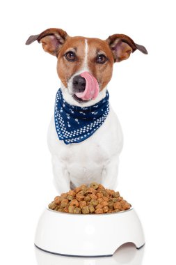 Dog with bowl clipart