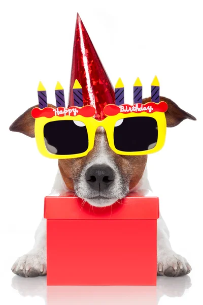 Happy birthday dog Stock Photos, Royalty Free Happy birthday dog Images ...