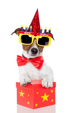 Birthday dog clipart