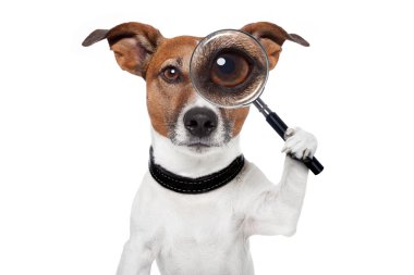 Searching dog with magnifying glass clipart