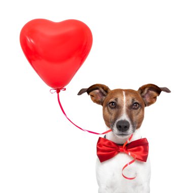 Dog in love clipart