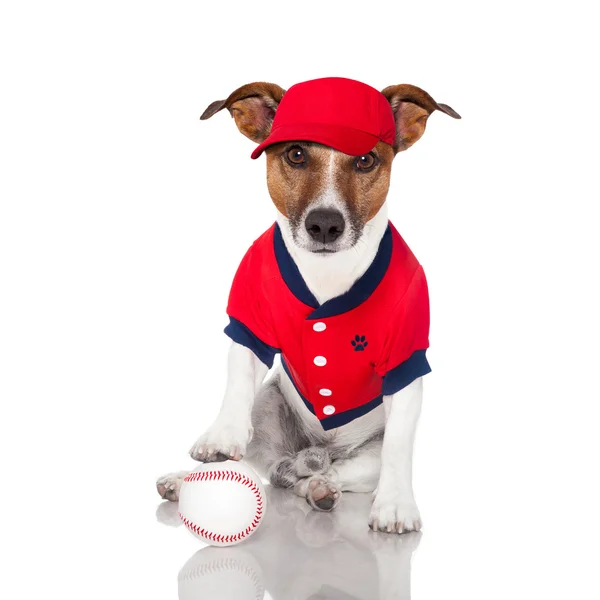 Pies baseball — Zdjęcie stockowe