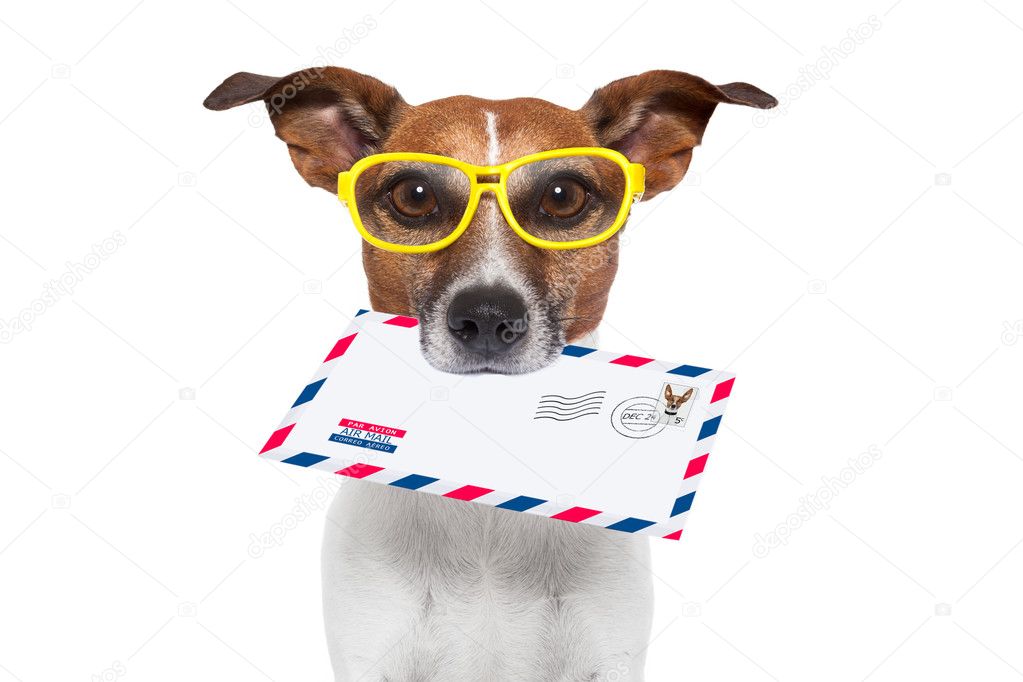Mail dog