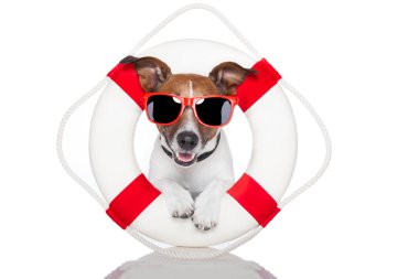 Lifesaver dog clipart