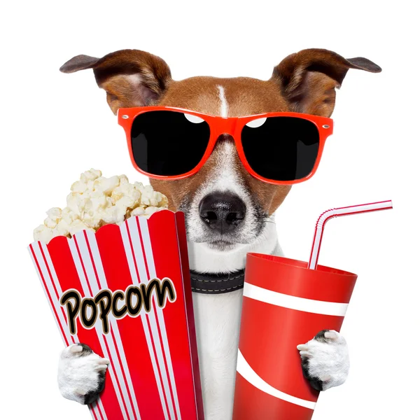 Cão assistindo um filme — Fotografia de Stock