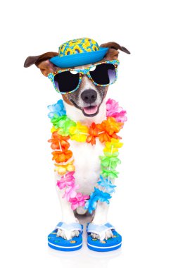 Dog on vacation clipart