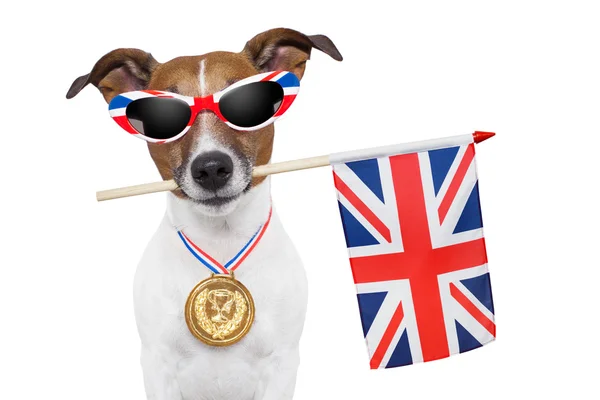 Olympic dog — Stock Photo, Image