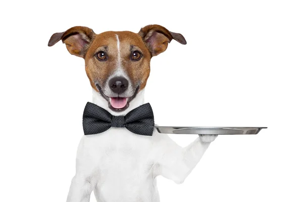 Hund service fack — Stockfoto