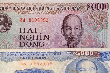 banknotlar