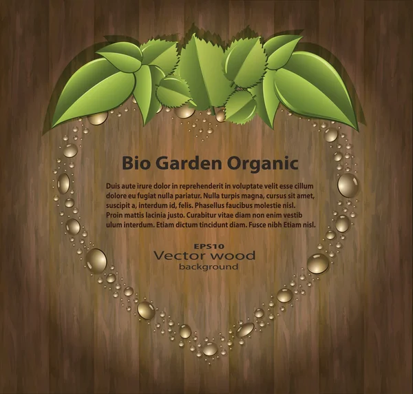 Vektör bio Bahçe çilekli kalp organik ahşap arka plan — Stok Vektör