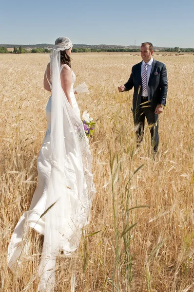 Casal de casamento no campo — Fotografia de Stock
