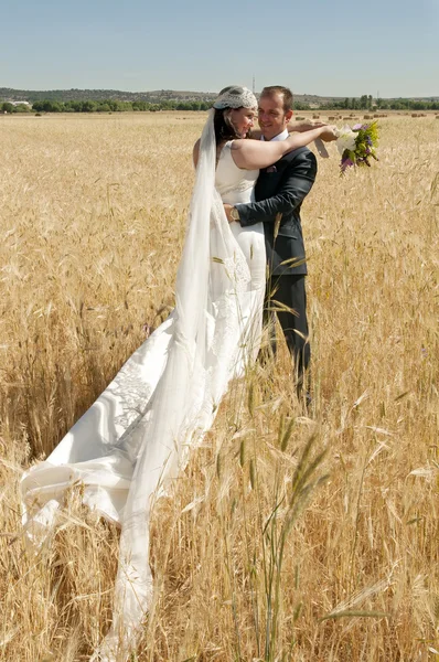 Wedding couple in the field — Stock Photo, Image