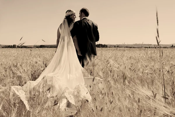 Wedding couple in the field — Stock Photo, Image