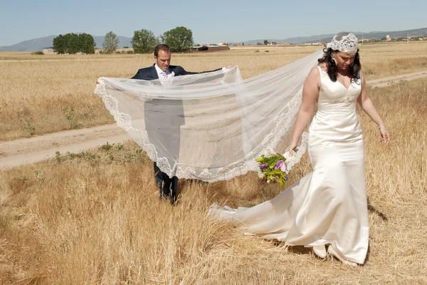 Bruidspaar in het veld — Stockfoto