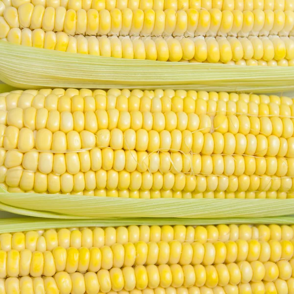 Textura de maíz —  Fotos de Stock