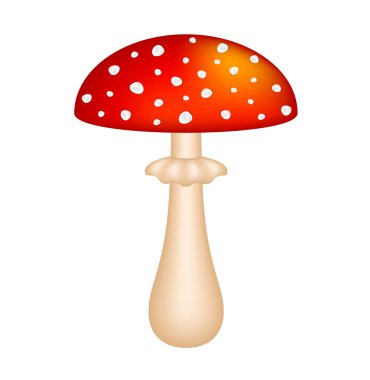 Amanita