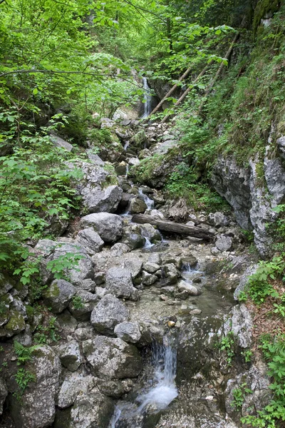 stock image Mountain waterfall