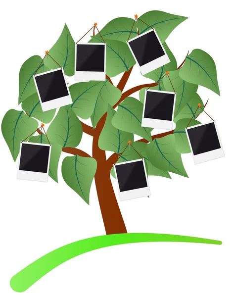 Photo frame tree — Stock Vector