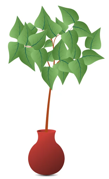 Plant in pot — Stockvector