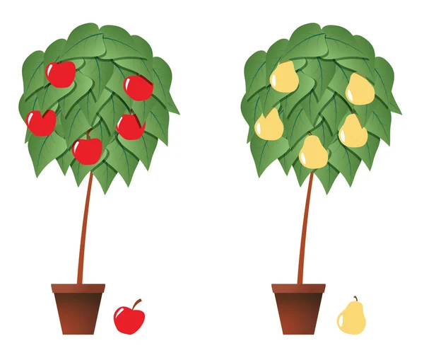 Ovocných rostlin — Stockový vektor