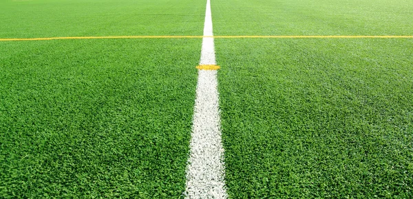 Soccer field with line — Stok fotoğraf