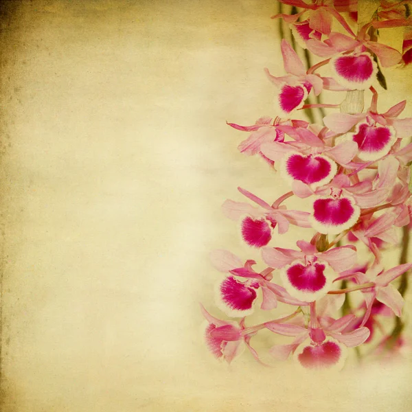 Textura de papel vintage com flor — Fotografia de Stock