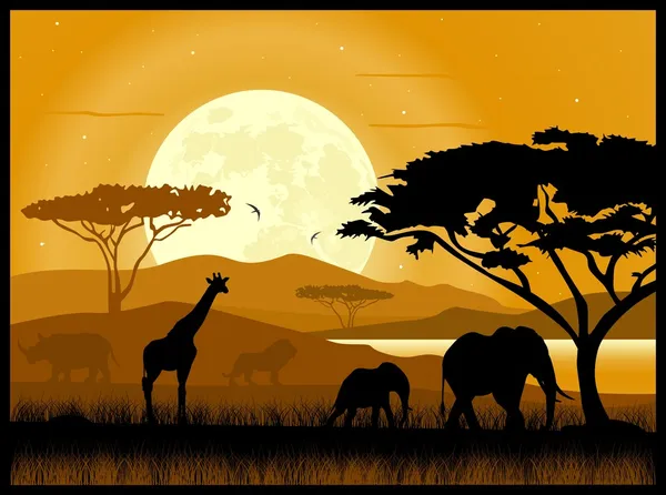 Afrikaanse savanne — Stockvector