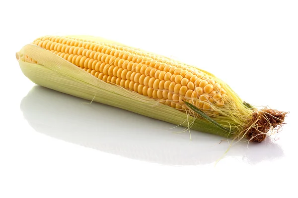 A kukorica — Stock Fotó