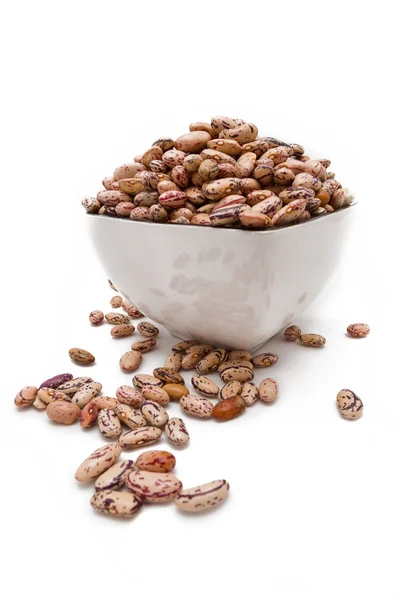 stock image Haricot beans