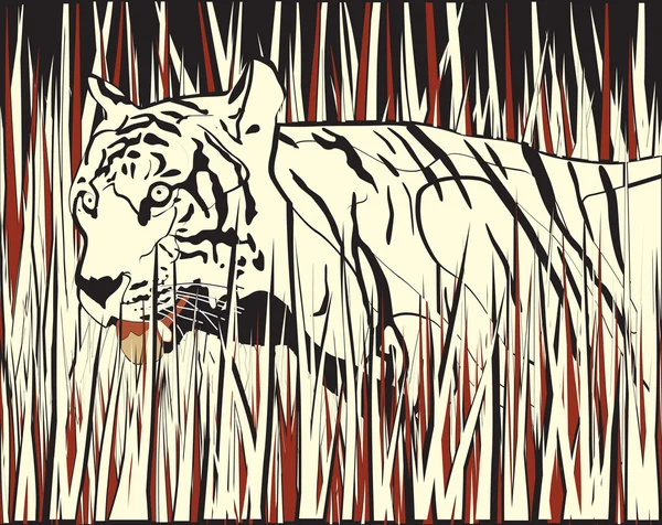 Hierba tigre — Vector de stock