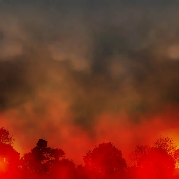 Incendio forestal — Vector de stock