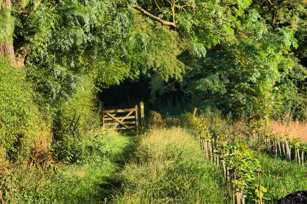 Soliga gate till ingenstans — Stockfoto