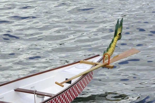 stock image Dragon Boat Racing