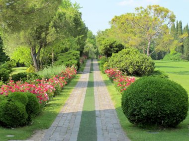 Path of roses through the landscape park clipart