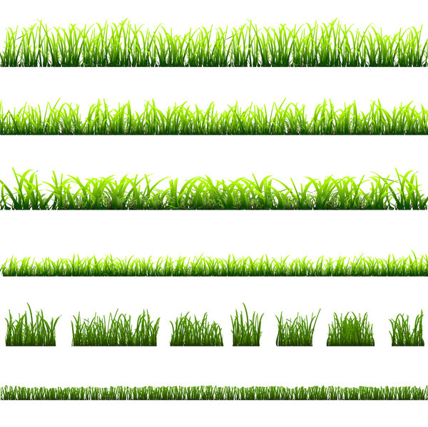 Collection of different types of green grass