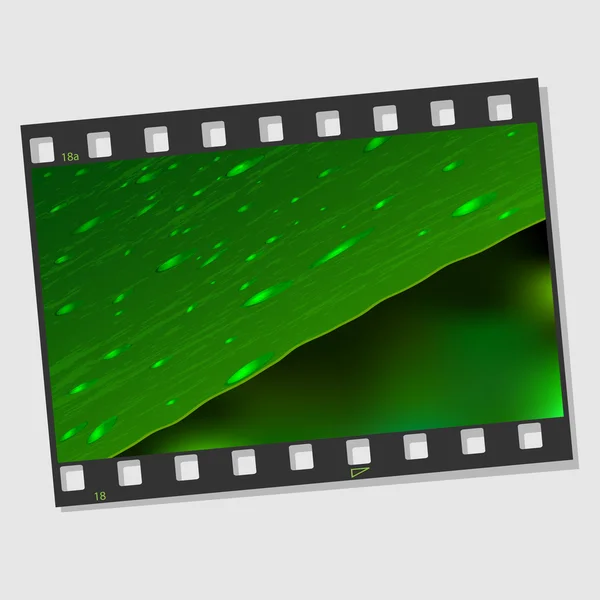Filmrahmen mit Blatt und Tropfen — Stockvektor