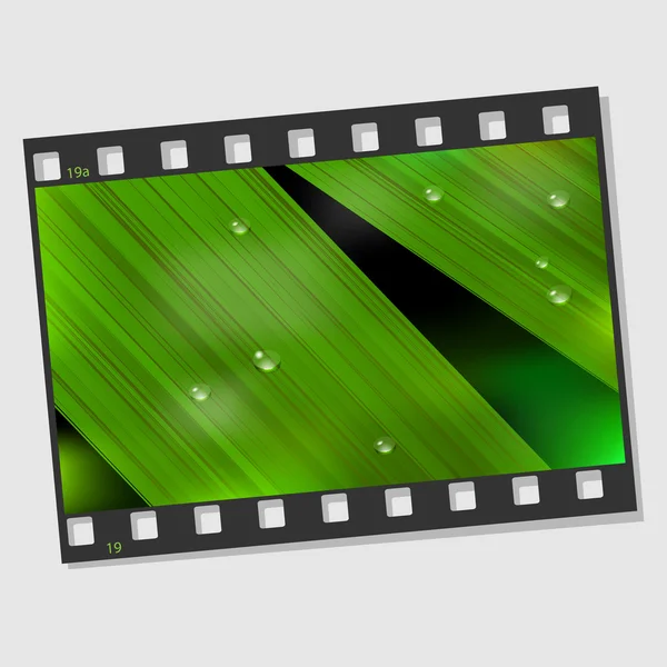 Film frame with macro leaf — Stock Vector