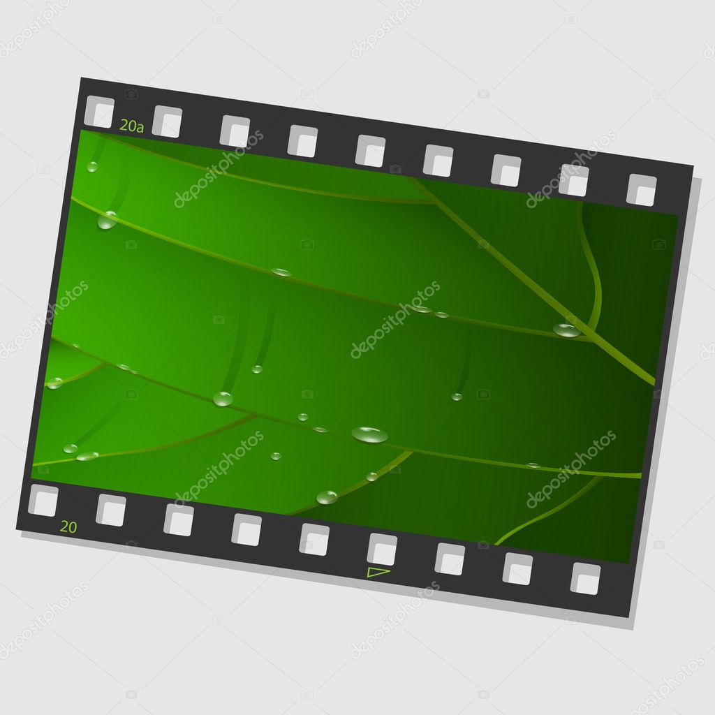 Film frame with green leaf and drops