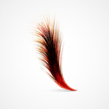 Red feather clipart