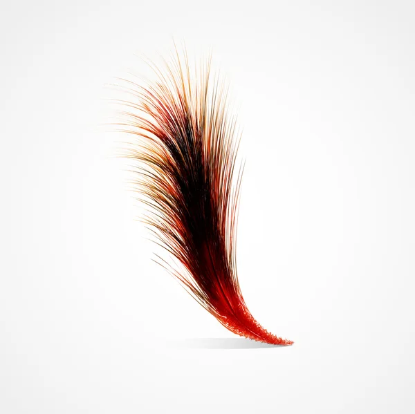 赤い羽根 — ストックベクタ
