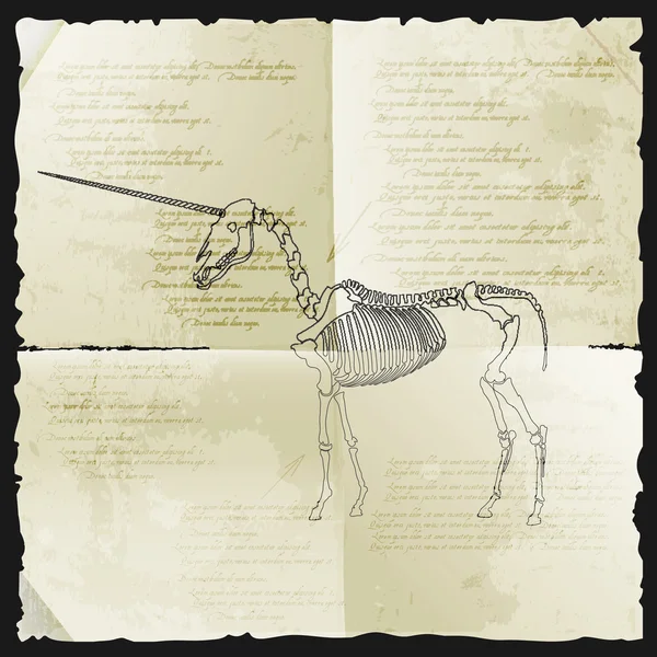 Ancient skeleton of unicorn — Stock Vector