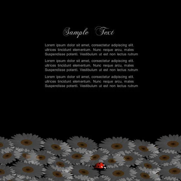 Fond noir élégant avec camomille et coccinelle — Image vectorielle