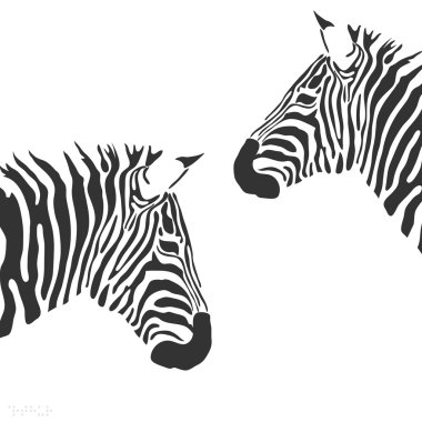 Vector zebra clipart