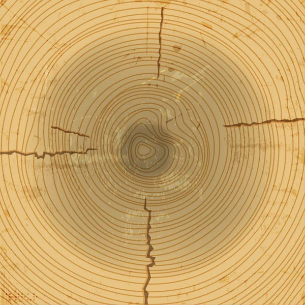 Vektor wood tvärsnittet bakgrund — Stock vektor