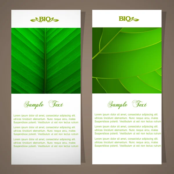 Two bio banners — Stock Vector