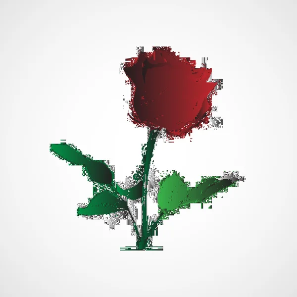 Stylizované akvarel skica růže — Stockový vektor