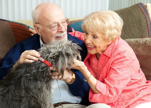 Senioren thuis met hun hond — Stockfoto