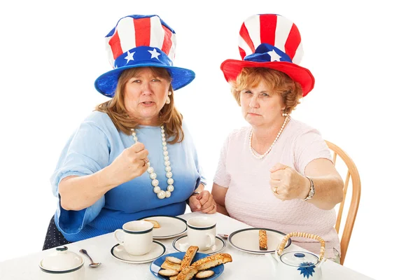 Patriotas del Tea Party - Luchando Locos — Foto de Stock