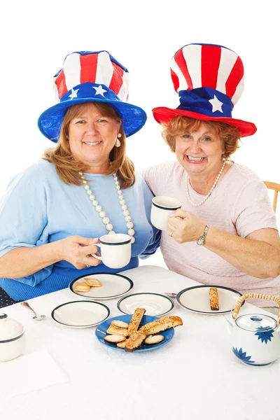 Patriotische Tea-Party-Wähler — Stockfoto