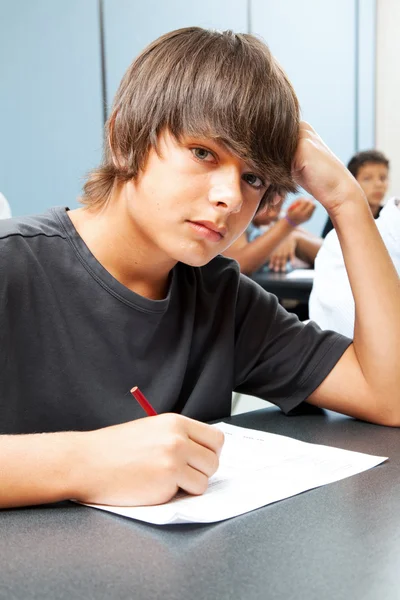 stock image Serious School Boy